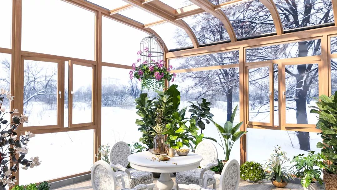 1582364180116635.jpg 6.jpg